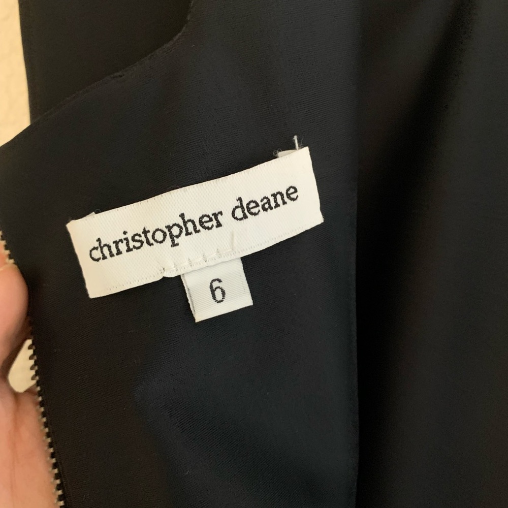 Christopher Deane Mini Dress - Picture 9 of 9